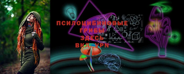2c-b Нязепетровск
