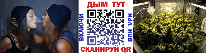 блэк спрут ссылки  Лодейное Поле  Бошки марихуана сатива 